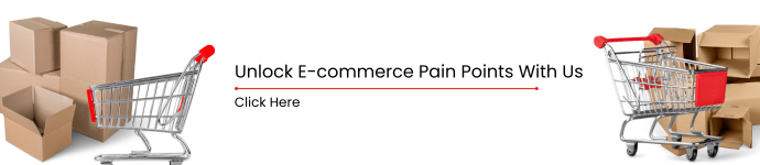 Paint Points of E-commerce Customer