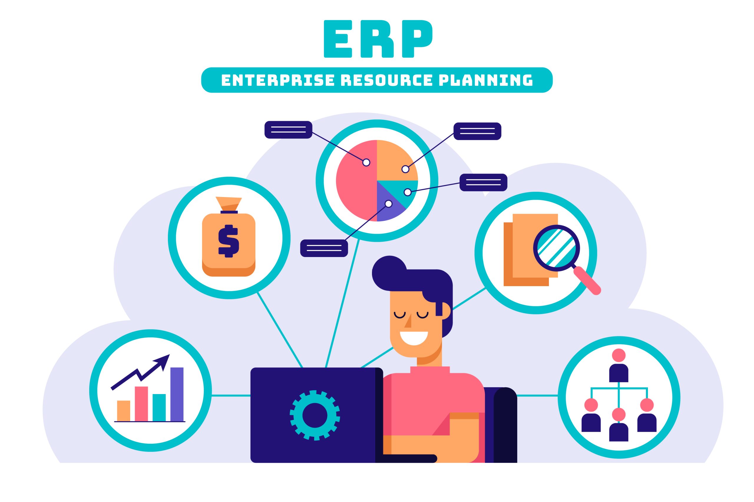 ERP Software Development Company