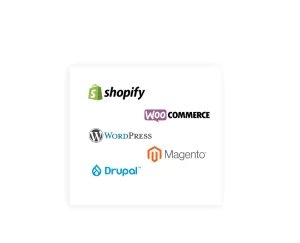 Ecommerce & CMS